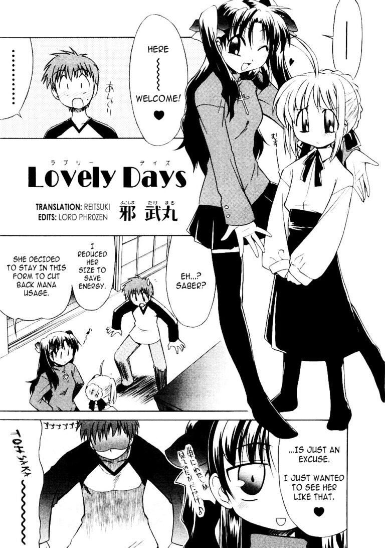 Fate/stay night – Lovely Days (Doujinshi)